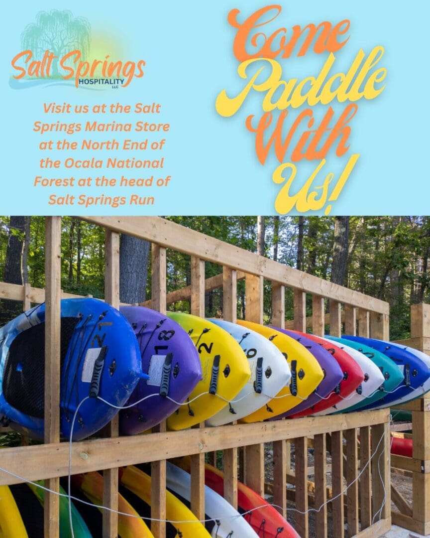 Colorful kayaks on wooden rack, forest background.